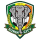 蘇林 logo