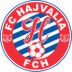 哈哲沃利亞女足 logo