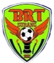 BRT梳邦 logo