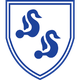 斯爾威FC logo