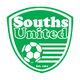南部聯合 logo