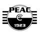 思力FC logo