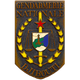 國際憲兵隊 logo