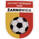 扎爾諾維察 logo
