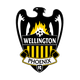 威靈頓鳳凰后備隊 logo