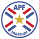 巴拉圭沙灘足球隊 logo