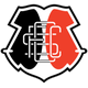 圣克魯茲青年隊 logo
