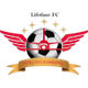 利佛費FC logo