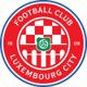 盧森堡城 logo