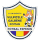 加爾賓女足 logo