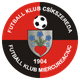 米耶居爾丘克U19 logo