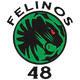 費利諾斯48 AC logo