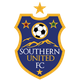 南方聯女足 logo