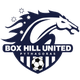 波克海爾女足 logo