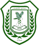 伊蒂哈德塞拉萊 logo