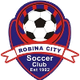 羅賓市藍女足 logo