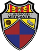 梅坎蒂爾U19 logo