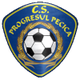 普羅格雷索佩西卡 logo