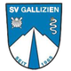SV加利欽 logo