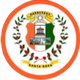 迪普馬約FC logo