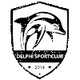 德爾福SC女足 logo