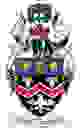 奇德爾城 logo