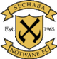 諾瓦內 logo