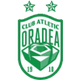 CA奧拉迪 logo