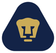 美洲獅女足 logo