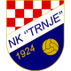 特瑞內 logo