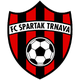 泰拿華斯巴達女足 logo