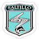 薩蒂略SC logo