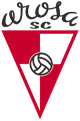 阿羅薩U19 logo