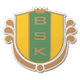 波斯坦納斯女足 logo