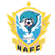 南安廣東女足 logo