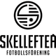 斯蓋樂夫提 logo