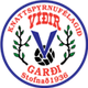 維迪爾 logo