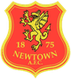 紐頓 logo