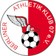 柏林安卡拉體育U19 logo