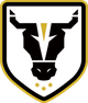公牛學院女足 logo