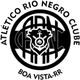 里約熱內格羅RR logo
