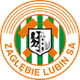 盧賓扎格勒比B隊 logo