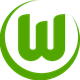 沃爾夫斯堡U19 logo