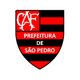 弗拉門戈圣佩德羅女足 logo