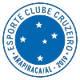 阿拉皮里 logo