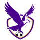 布倫達拉鷹女足 logo