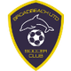 布羅德海灘聯合女足 logo