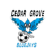 藍鳥FC logo
