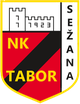 塔博塞扎納U19 logo