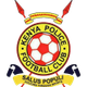 肯尼亞警察 logo